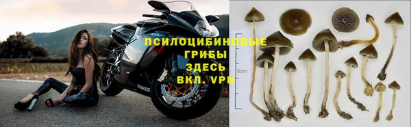бошки Зуевка