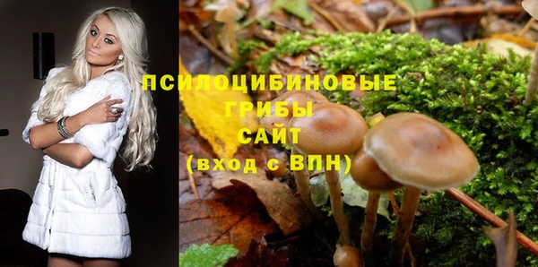винт Ивангород