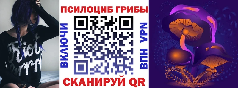 как найти закладки  Коммунар  Псилоцибиновые грибы Magic Shrooms 